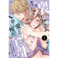 壊してよ、愛とか夢とか憧れ全部～その笑顔は蕩けるように冷たい～　１