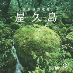 屋久島～世界自然遺産