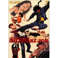 荒野のドラゴン（ＤＶＤ）