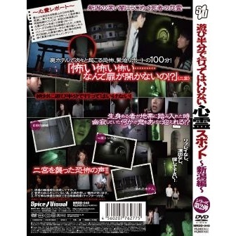 遊び半分で行ってはいけない心霊スポット 〜新潟編〜 [DVD