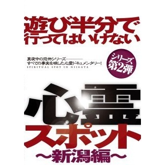 遊び半分で行ってはいけない心霊スポット ～新潟編～（DVD） 通販  