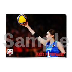 【バレーボール女子日本代表】メタルディスプレイ  セルビア戦 04