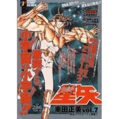 聖闘士星矢　冥王ハーデス　十二宮編　２
