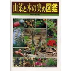 山菜と木の実の図鑑