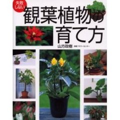 失敗しない観葉植物の育て方