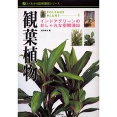 観葉植物　インドアグリーンのおしゃれな空間演出