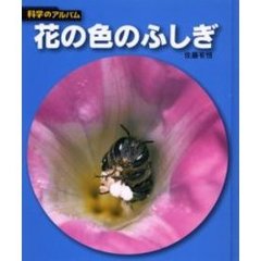 花の色のふしぎ　新装版