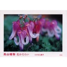高山植物　花かたらい
