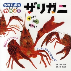 ザリガニ　さがす！飼う！育てる！