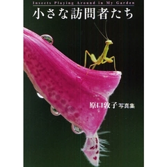 小さな訪問者たち　原口敦子写真集
