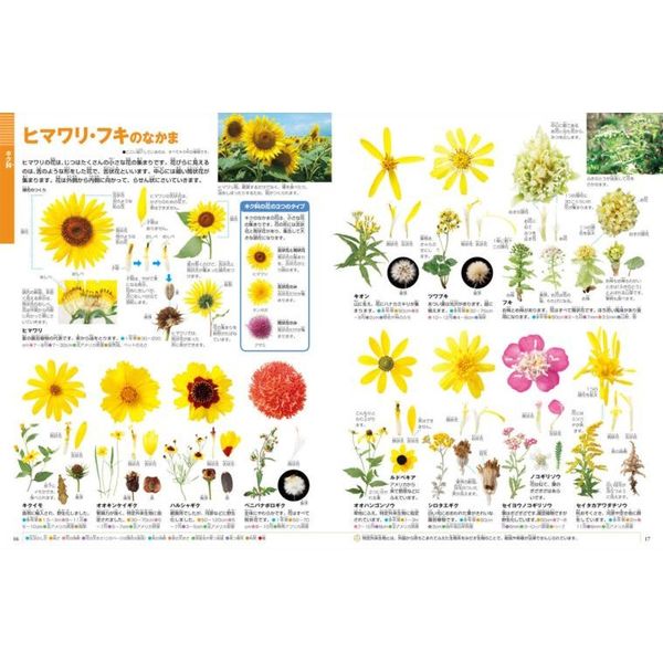 小学館 図鑑NEO びっくり植物 DVD