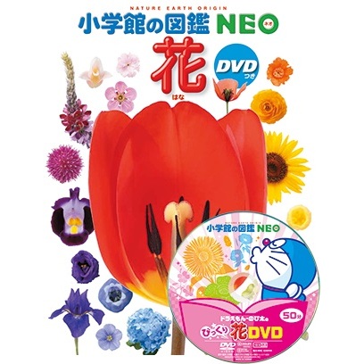 小学館の図鑑ＮＥＯ 花 DVDつき 通販｜セブンネットショッピング