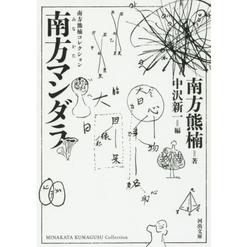 南方熊楠コレクション／全5巻 南方マンダラ／南方民俗学／森の思想