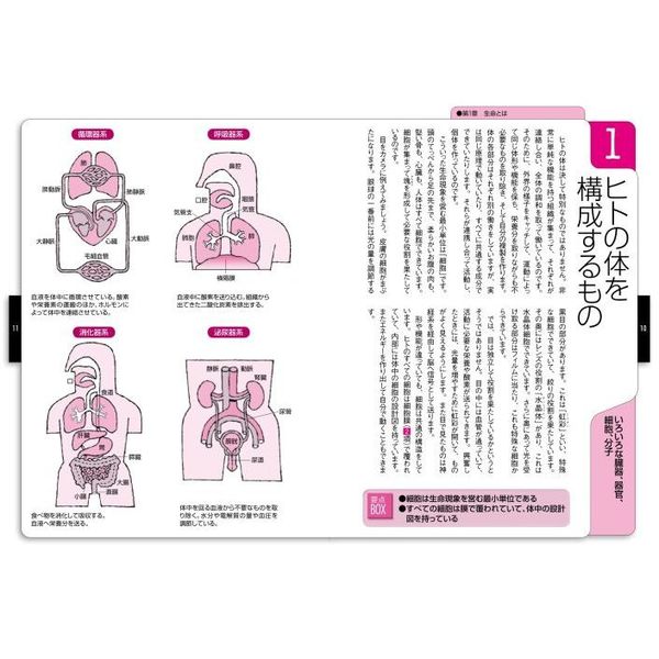 今日からモノ知りシリーズ　トコトンやさしい人体のしくみの本　金型の本　11冊 ヨドバシ.com - トコトンやさしい人体のしくみの本(B\u0026Tブックス\u2015今日