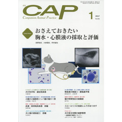 ＣＡＰ　３３１