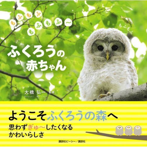 もふもふもふもふ～ふくろうの赤ちゃん 通販｜セブンネットショッピング