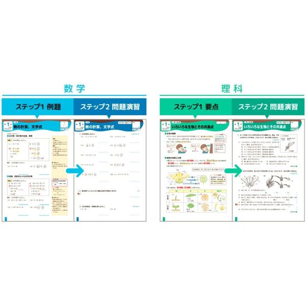 ホントにわかる 中1・2年の総復習 理科 - 人文