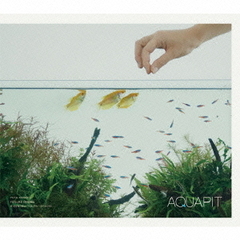 AQUAPIT