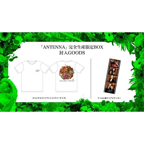 Mrs.GREEN APPLE／ANTENNA（完全生産限定BOX／CD+Blu-ray＋GOODS）（特典なし）