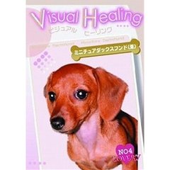 Visual Healing 4 ミニチュアダックスフンド（茶）（ＤＶＤ）