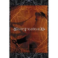 バリード・アライヴ（ＤＶＤ）