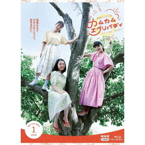 NHK連続テレビ小説 カムカムエヴリバディ 完全版 DVD・ブルーレイ BOX 1