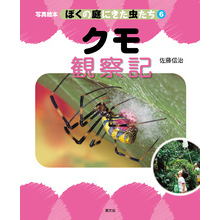 写真絵本　ぼくの庭にきた虫たち6　クモ観察記