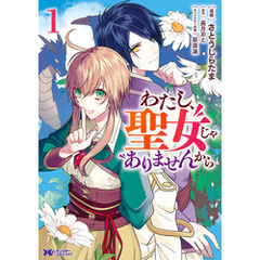 わたし、聖女じゃありませんから（コミック） 分冊版 34