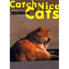 岩合光昭の猫　ポストカードブック