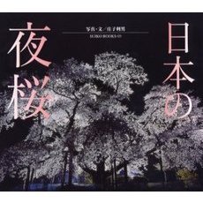 日本の夜桜