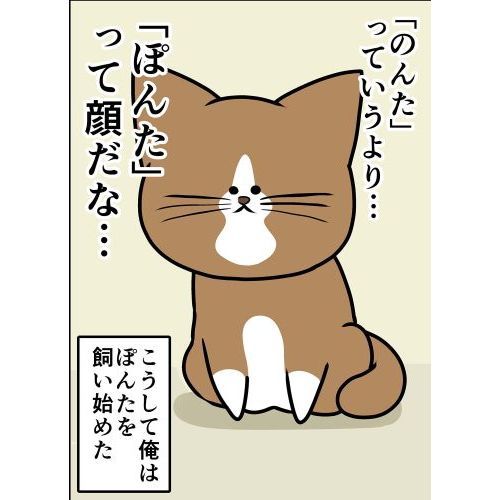 鴻池剛と猫のぽんたニャアアアン 通販 セブンネットショッピング
