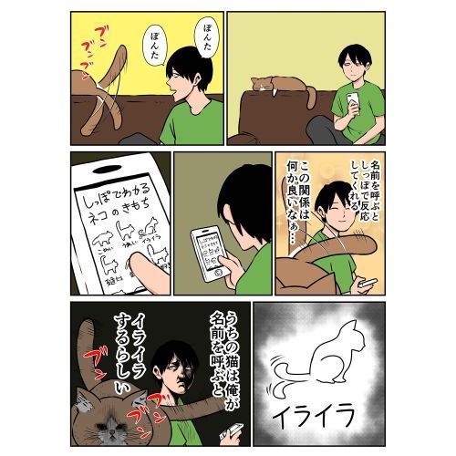 Amazon.co.jp: 鴻池剛と猫のぽんた ニャアアアン! : 鴻池 剛: 本