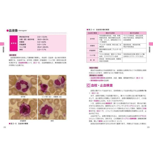 看護・栄養指導のための臨床検査ハンドブック 第６版 通販｜セブン