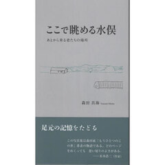 ここで眺める水俣