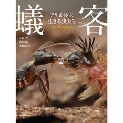蟻客 アリと共に生きる虫たち