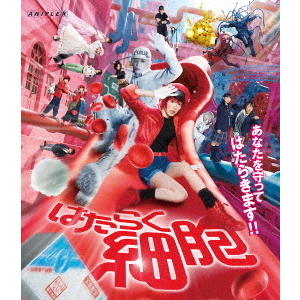 ֥ͥåȥåԥ󥰤㤨֤Ϥ餯˦ Blu-ray ̾ǡʣ£?ˡפβǤʤ3,608ߤˤʤޤ