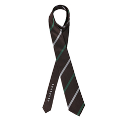 土佐兄弟コラボネクタイ＜社会人応援＞シルクブレンドストライプネクタイ/ブラウン/「ヤキニクタベタイ」