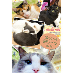 ほっこり猫ライフ　vol.14