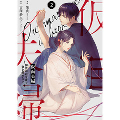 comic Berry’s仮面夫婦～御曹司は今夜も妻を愛せない～2巻