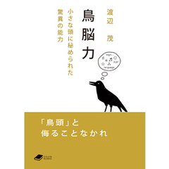 鳥脳力：小さな頭に秘められた驚異の能力