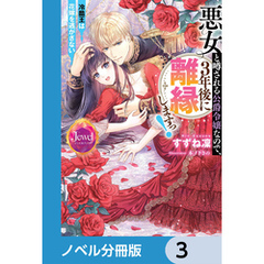 悪女と噂される公爵令嬢なので、3年後に離縁しますっ！　冷酷王は花嫁を逃がさない【ノベル分冊版】　3