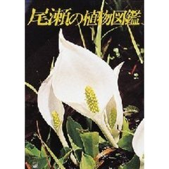 尾瀬の植物図鑑