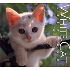 White Cat―子猫の小さな冒険