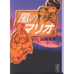 風のマリオ　３