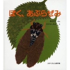 ぼく、あぶらぜみ