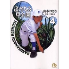 遥かなる甲子園　４