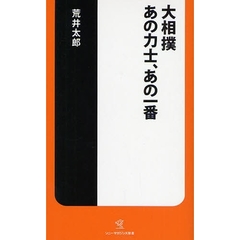 大相撲あの力士、あの一番