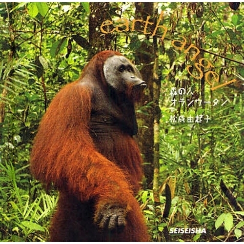 ֥ͥåȥåԥ󥰤㤨ֿοͥ󥦡פβǤʤ858ߤˤʤޤ