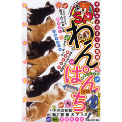 ’１１　ＳＰわんぱんち