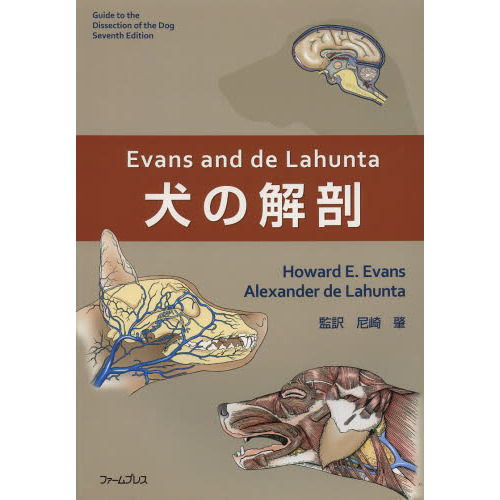 Ｅｖａｎｓ　ａｎｄ　ｄｅ　Ｌａｈｕｎｔａ犬の解剖